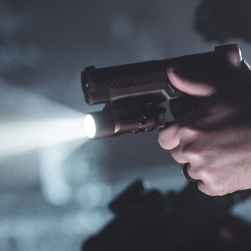 TLR-VIR-ll-Coy_LE-Luce accesa